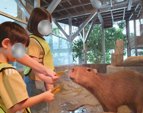 잎새 현장체험학습- 오산버드파크